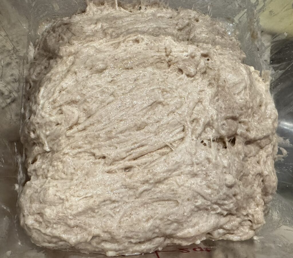 Mixed focaccia dough