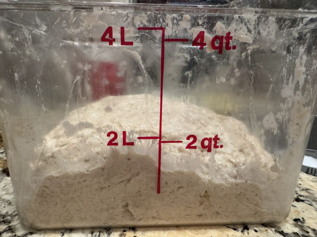 Focaccia dough before bulk fermentation