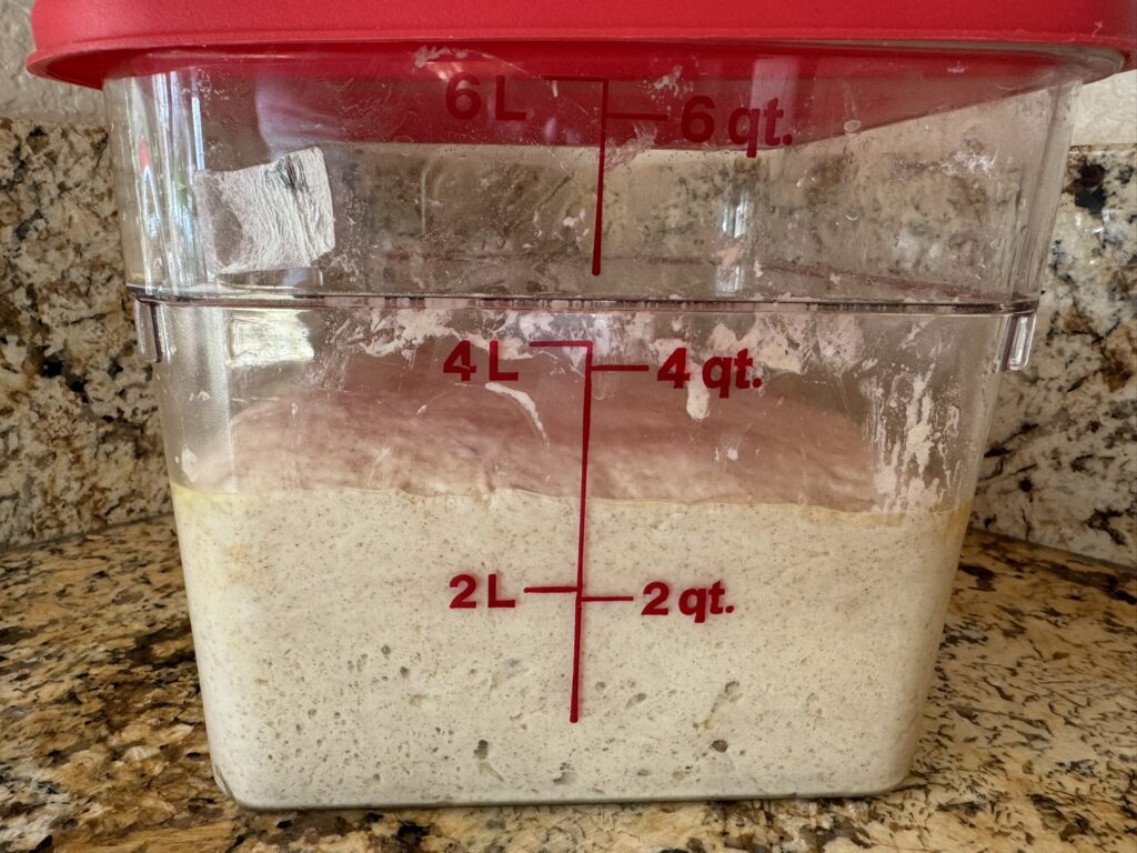 Focaccia dough after 9 hours bulk fermentation