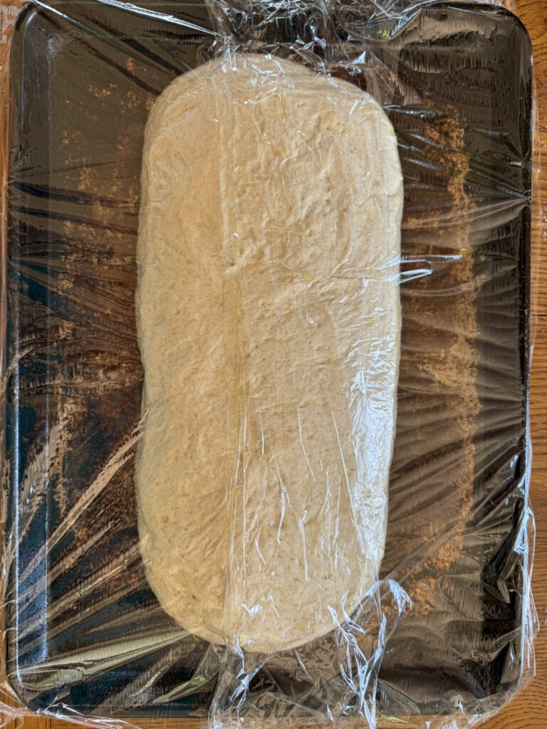 Focaccia dough after shaping