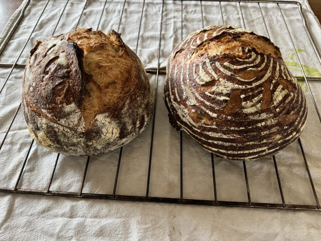 two sourdough boules
