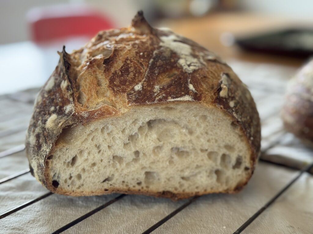 cross section of sourdough boule