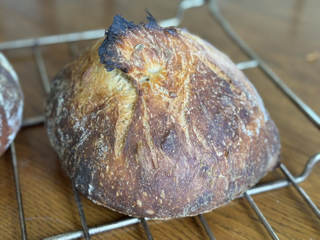 sourdough boule