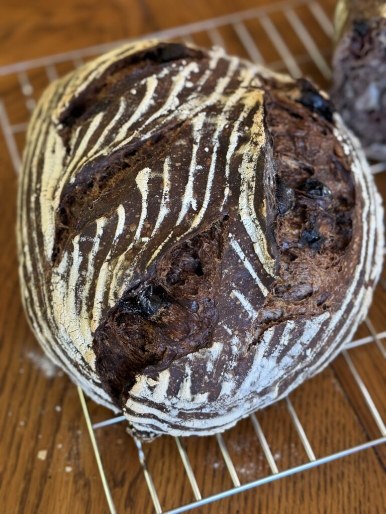 chocolate cherry sourdough boule